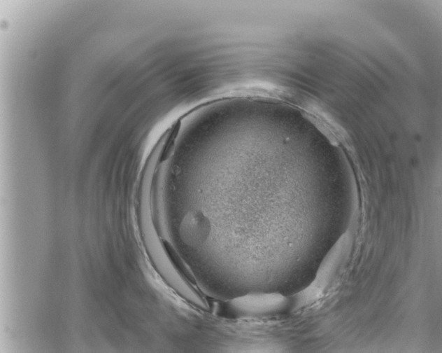 X0000065260960200602211247