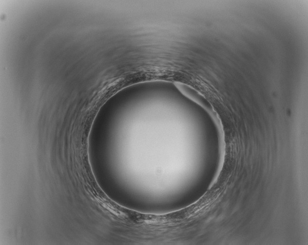 X0000065260961200602211246