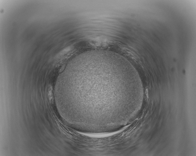 X0000065260963200602211246