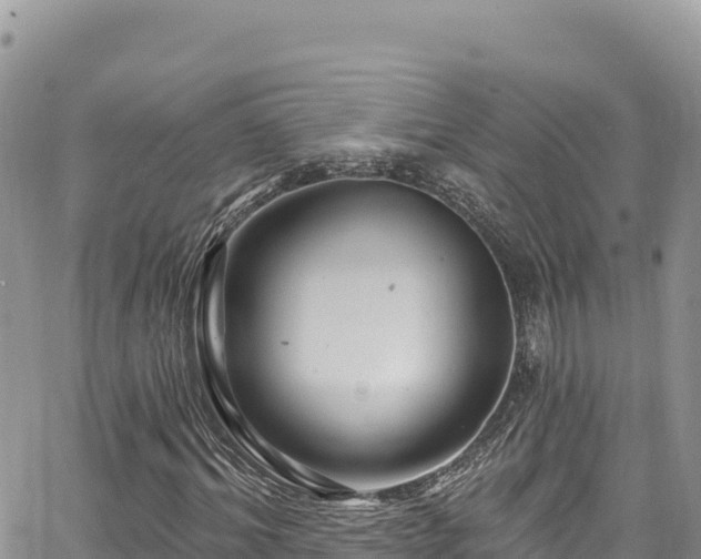 X0000065260964200602211246