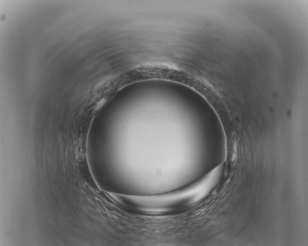 X0000065260965200602211246