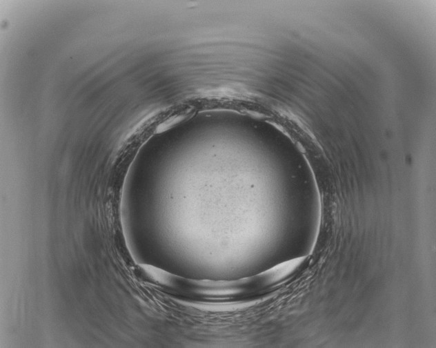 X0000065260968200602211246