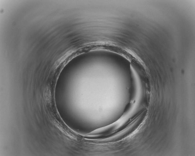 X0000065260969200602211246