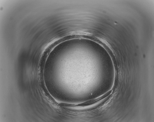 X0000065260971200602211246