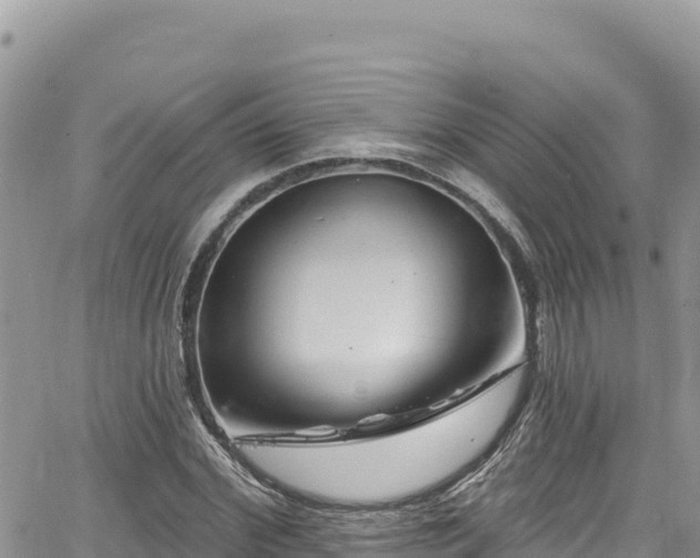 X0000065260972200602211246