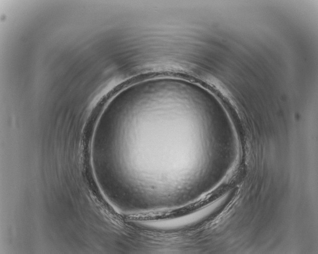 X0000065260975200602211245