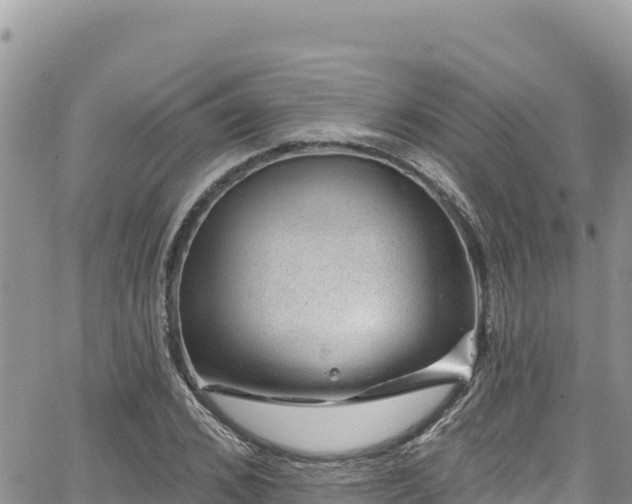 X0000065260976200602211245