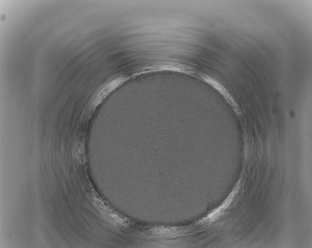 X0000065260977200602211245