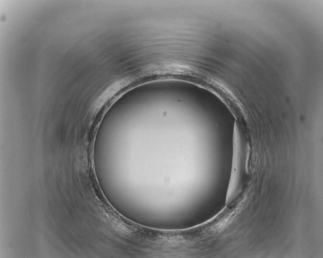 X0000065260978200602211245