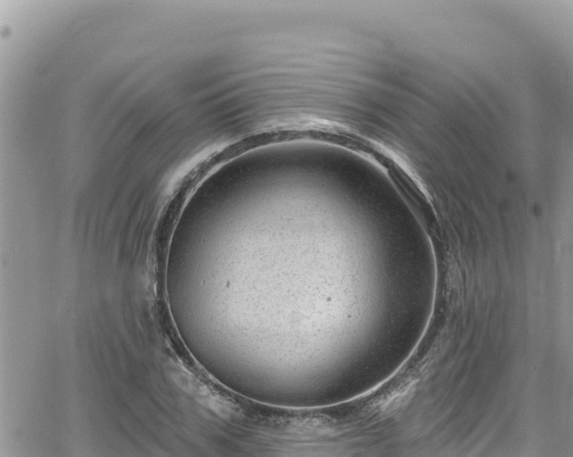 X0000065260979200602211245