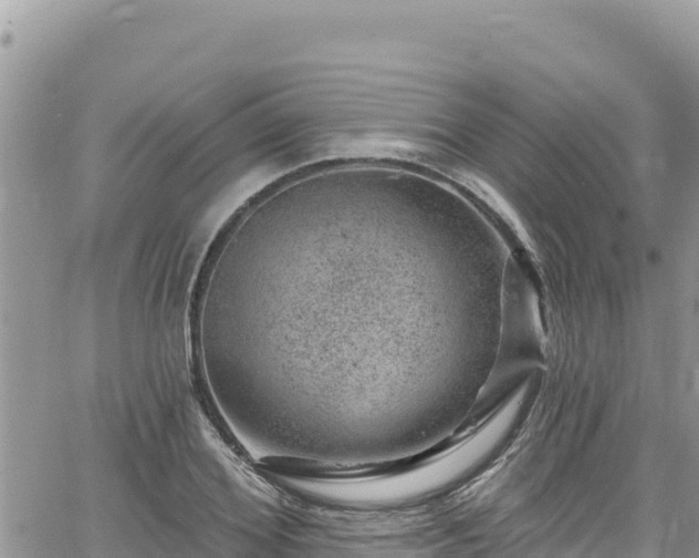 X0000065260980200602211245