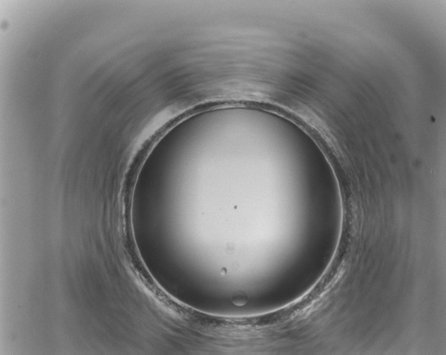 X0000065260982200602211245