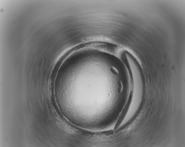 X0000065260983200602211245