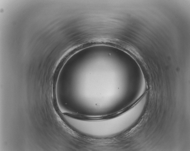 X0000065260984200602211245