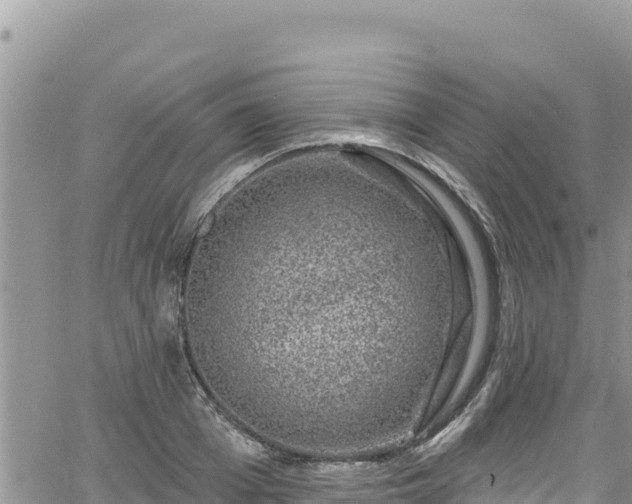 X0000065260985200602211245