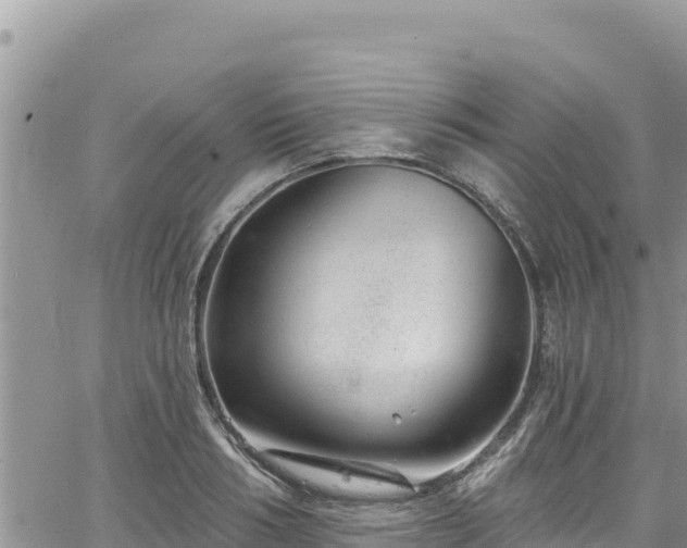 X0000065260986200602211245