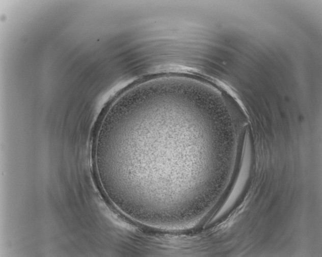 X0000065260987200602211245