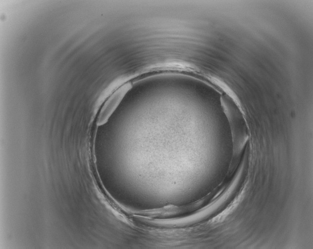 X0000065260989200602211245