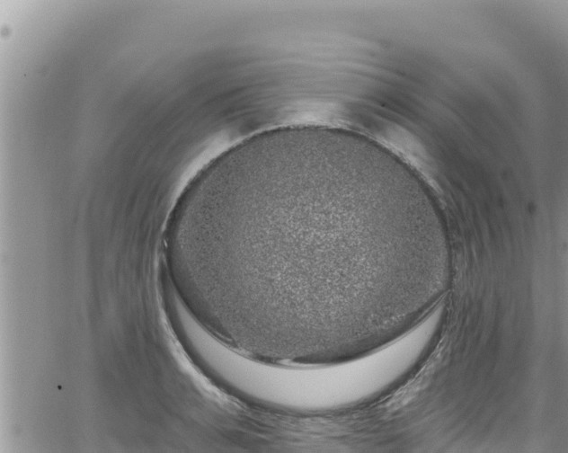 X0000065260991200602211245