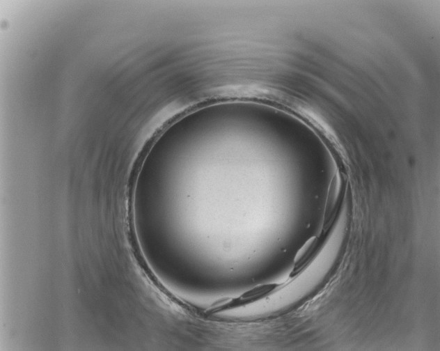 X0000065260992200602211245