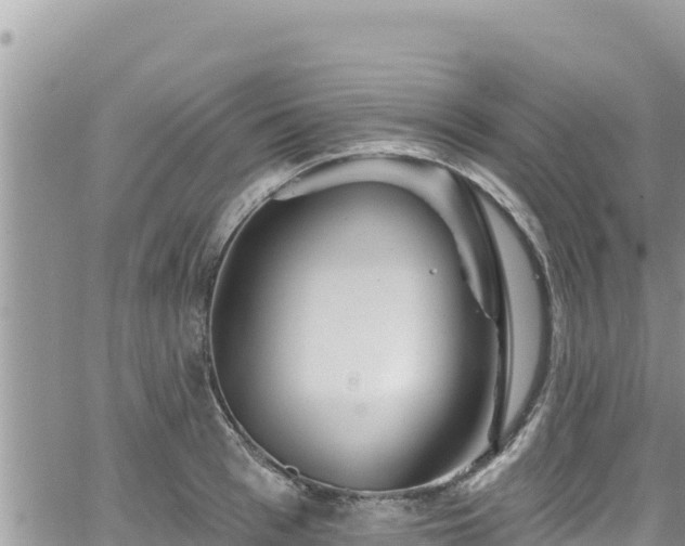 X0000065260993200602211245