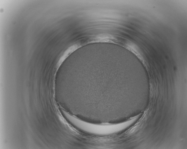 X0000065260994200602211245