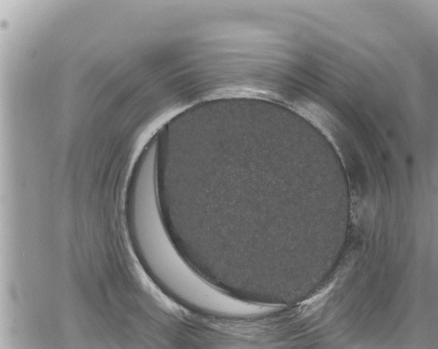 X0000065260995200602211245