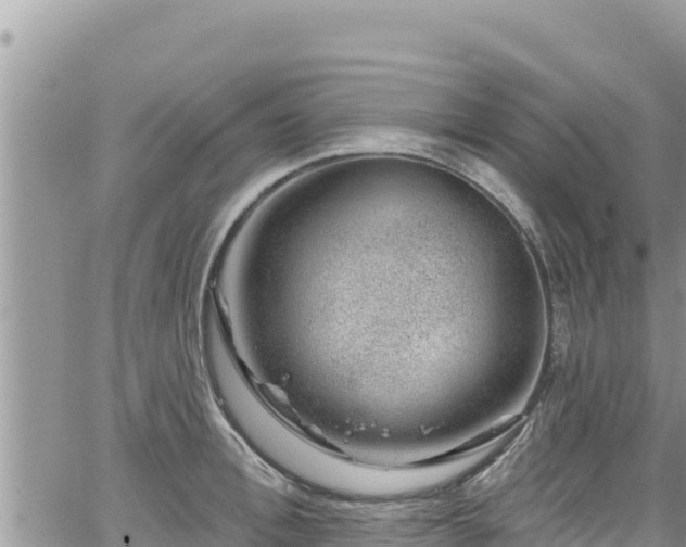 X0000065260996200602211245