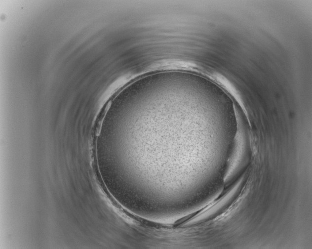 X0000065260997200602211245