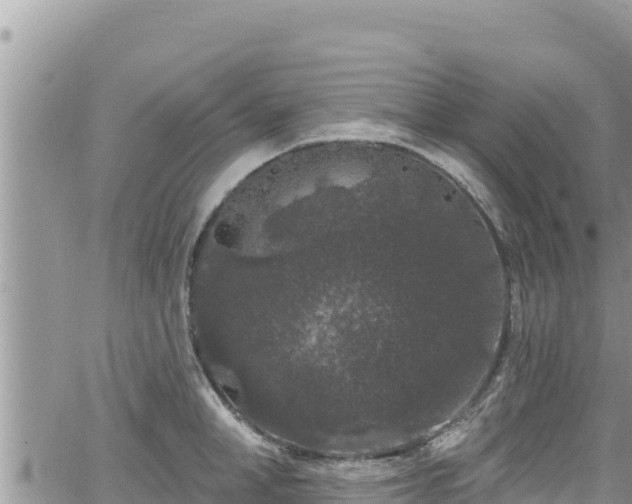 X0000065260998200602211245