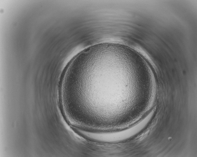 X0000065260999200602211245