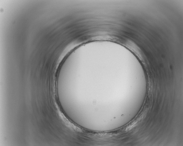 X0000065261000200602211245