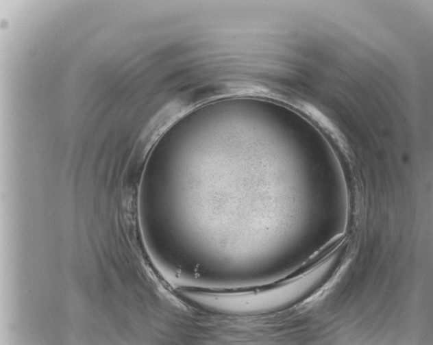 X0000065261001200602211245