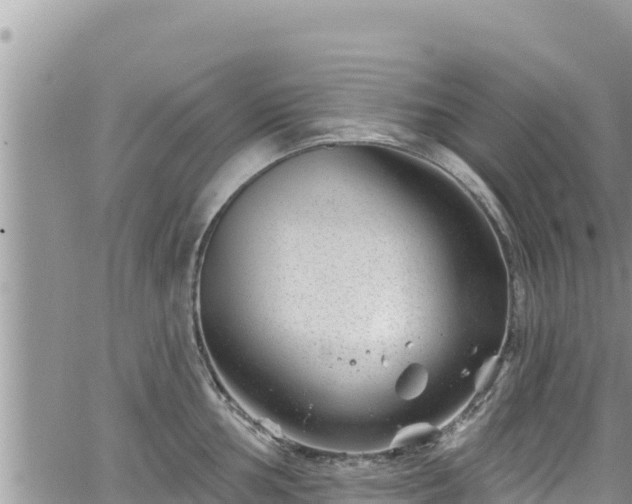 X0000065261002200602211245