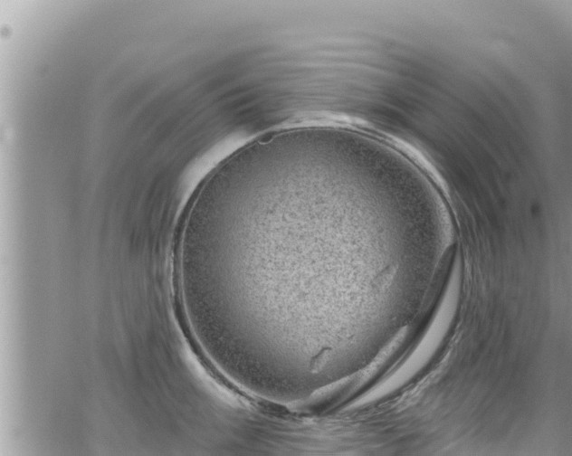 X0000065261003200602211245