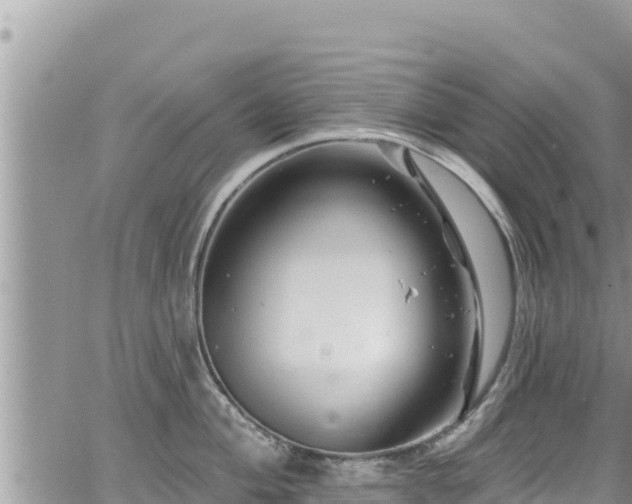 X0000065261004200602211245