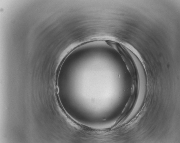 X0000065261005200602211245