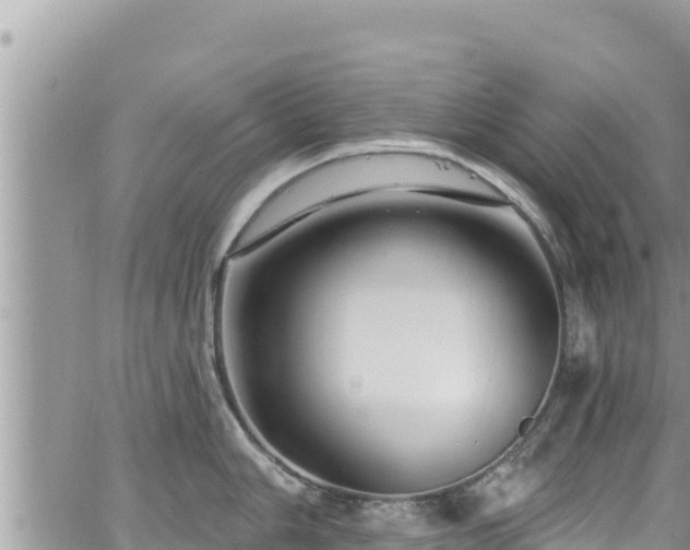 X0000065261006200602211245