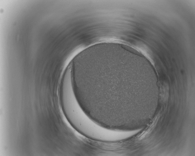 X0000065261007200602211245