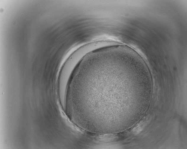 X0000065261008200602211245