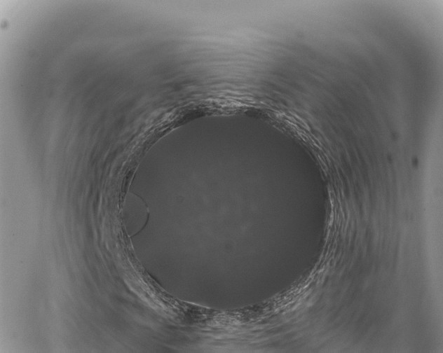 X0000065261009200602211244