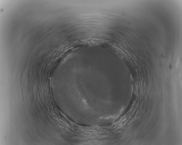 X0000065261010200602211244