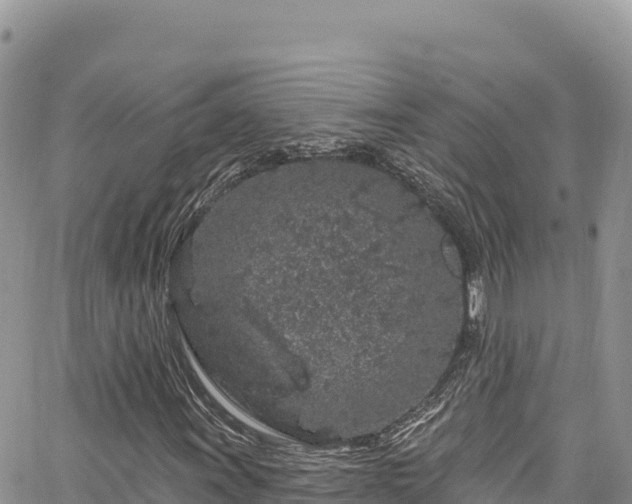 X0000065261011200602211244