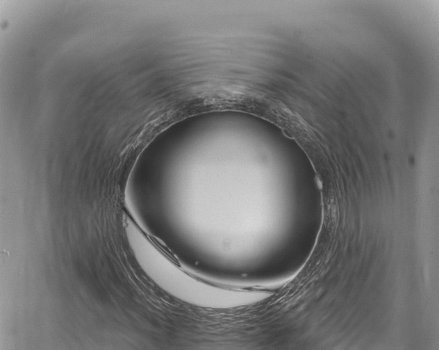 X0000065261012200602211244