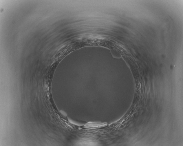 X0000065261013200602211244