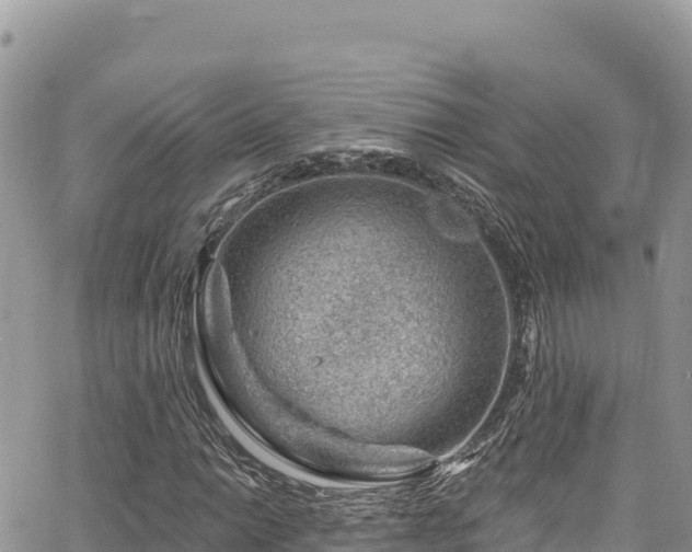 X0000065261014200602211244