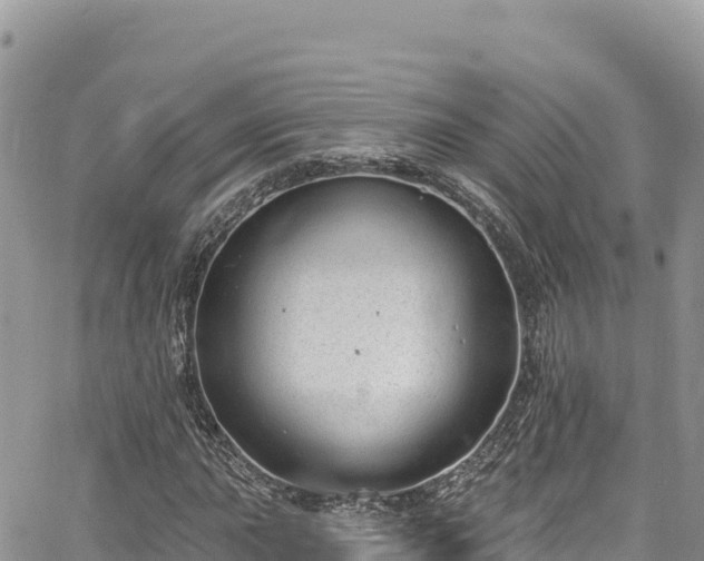 X0000065261015200602211244