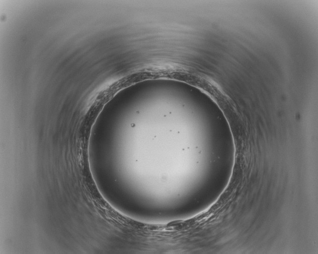 X0000065261016200602211244