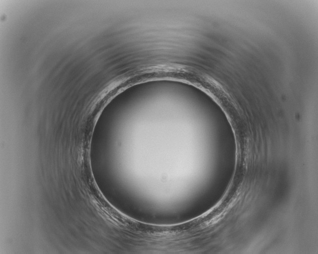 X0000065261017200602211244