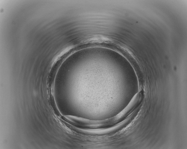 X0000065261018200602211244